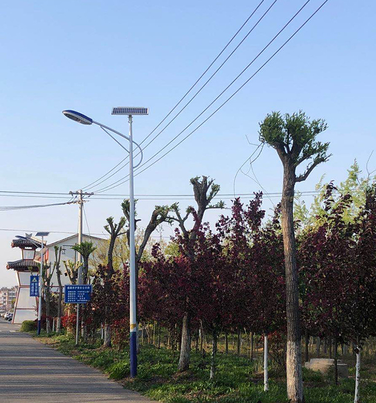 农村太阳能路灯_福建太阳能路灯_j9九游会太阳能路灯