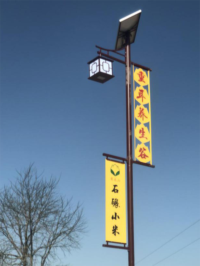 特色路灯 太阳能路灯 j9九游会陕西太阳能路灯