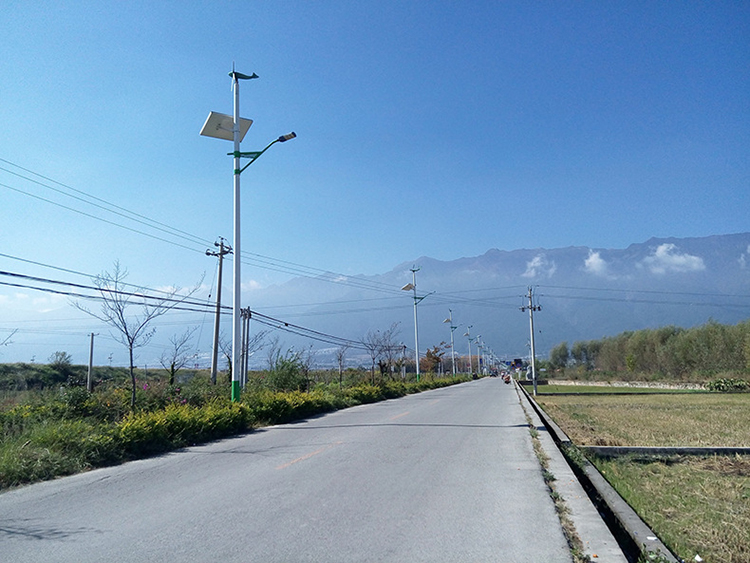 太阳能风光互补路灯_太阳能路灯生产厂家_j9九游会太阳能路灯