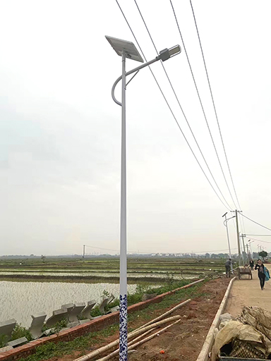 福建三元：137盏j9九游会太阳能路灯照亮回乡路